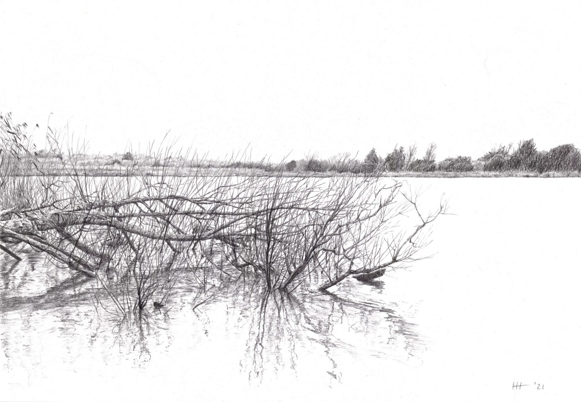 Pencil picture, An Old Memory